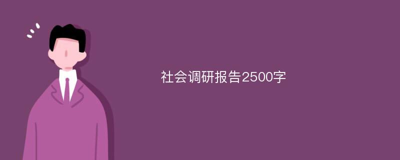 社会调研报告2500字